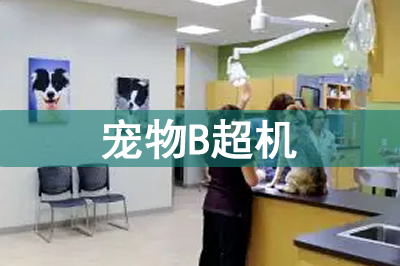 寵物b超機價格多少錢一臺？寵物B超為什