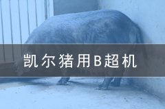 獸用b超機會給養豬場帶來哪些效益?