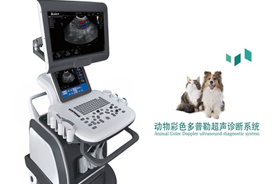 凱爾動物醫療獸用b超儀器的保養
